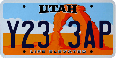 UT license plate Y233AP