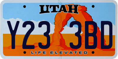UT license plate Y233BD