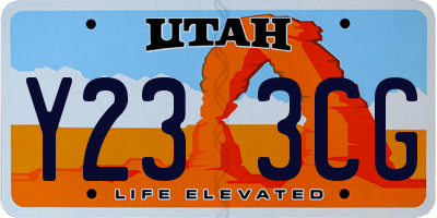 UT license plate Y233CG