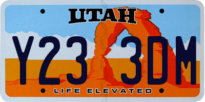 UT license plate Y233DM