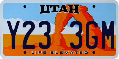 UT license plate Y233GM