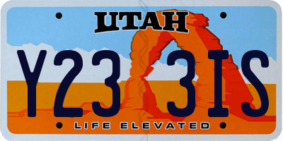 UT license plate Y233IS