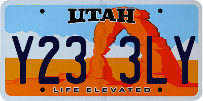 UT license plate Y233LY