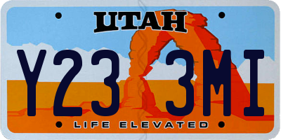 UT license plate Y233MI