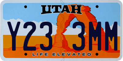 UT license plate Y233MM