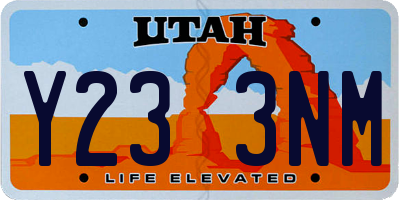 UT license plate Y233NM