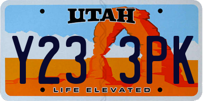 UT license plate Y233PK