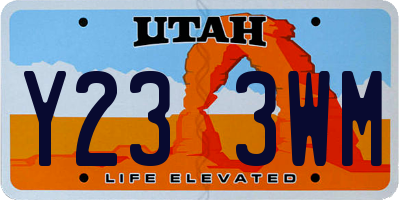 UT license plate Y233WM