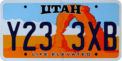 UT license plate Y233XB