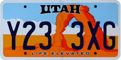 UT license plate Y233XG