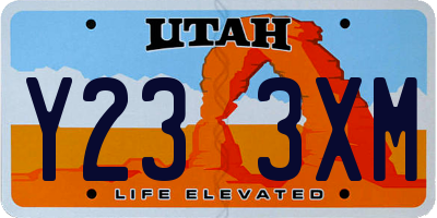 UT license plate Y233XM