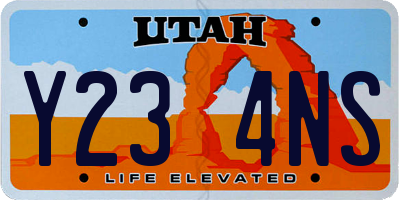 UT license plate Y234NS