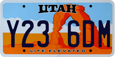 UT license plate Y236DM