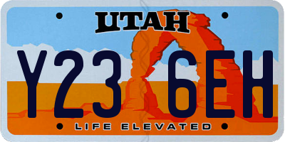 UT license plate Y236EH