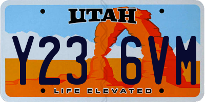UT license plate Y236VM