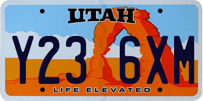 UT license plate Y236XM