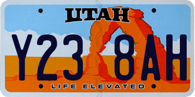 UT license plate Y238AH