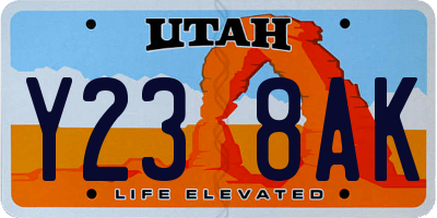 UT license plate Y238AK
