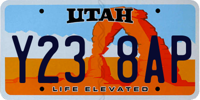 UT license plate Y238AP