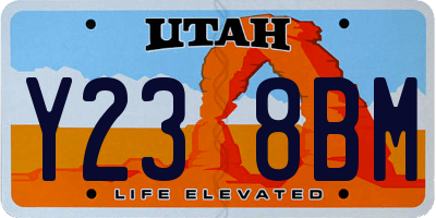 UT license plate Y238BM