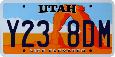 UT license plate Y238DM