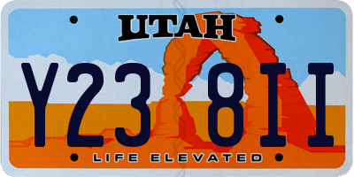 UT license plate Y238II