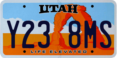 UT license plate Y238MS