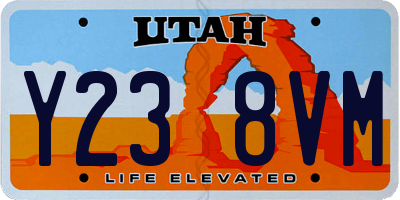 UT license plate Y238VM