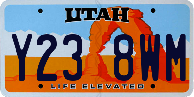 UT license plate Y238WM