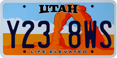 UT license plate Y238WS
