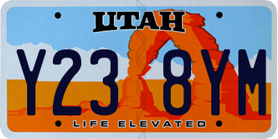 UT license plate Y238YM