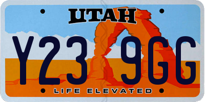 UT license plate Y239GG