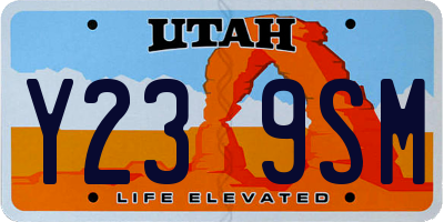 UT license plate Y239SM