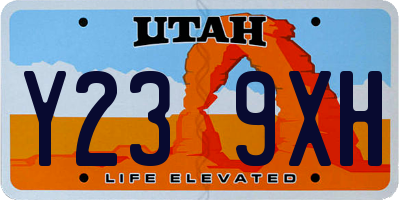 UT license plate Y239XH