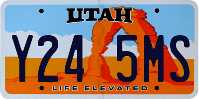 UT license plate Y245MS