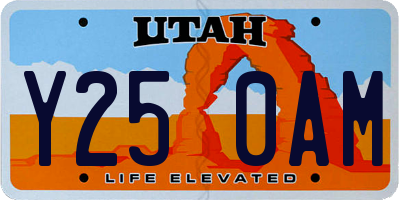 UT license plate Y250AM