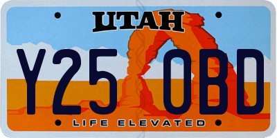UT license plate Y250BD