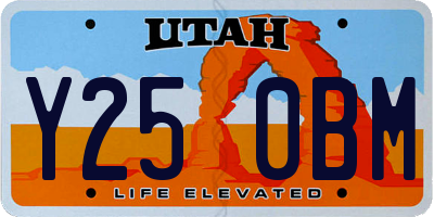 UT license plate Y250BM