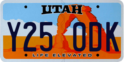 UT license plate Y250DK
