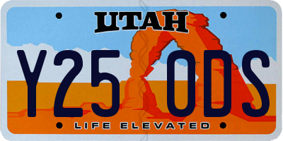 UT license plate Y250DS