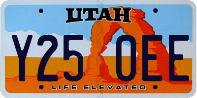 UT license plate Y250EE