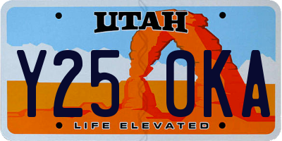 UT license plate Y250KA