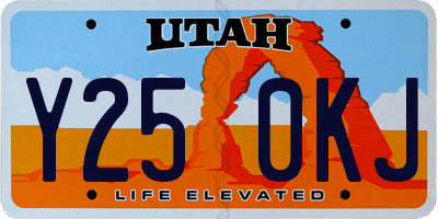 UT license plate Y250KJ
