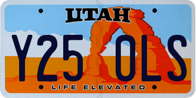 UT license plate Y250LS