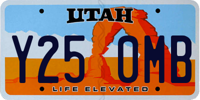 UT license plate Y250MB
