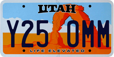 UT license plate Y250MM
