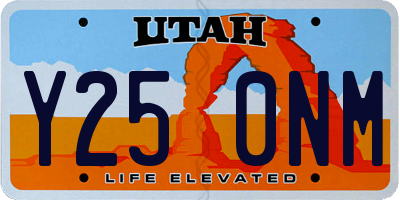 UT license plate Y250NM
