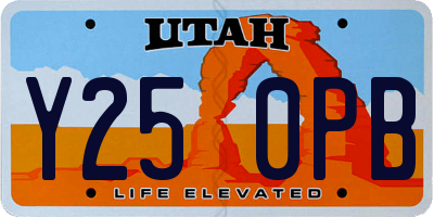 UT license plate Y250PB