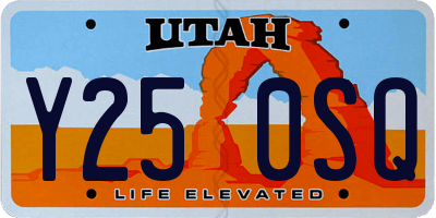 UT license plate Y250SQ