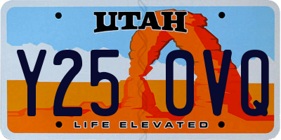 UT license plate Y250VQ